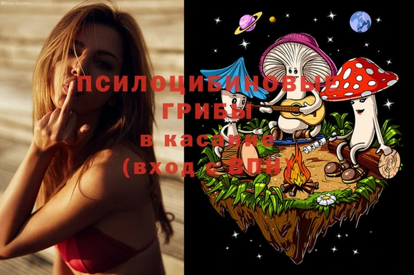 твердый Алексин